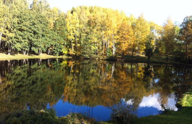 Forest Escape With Garden - Foto 36