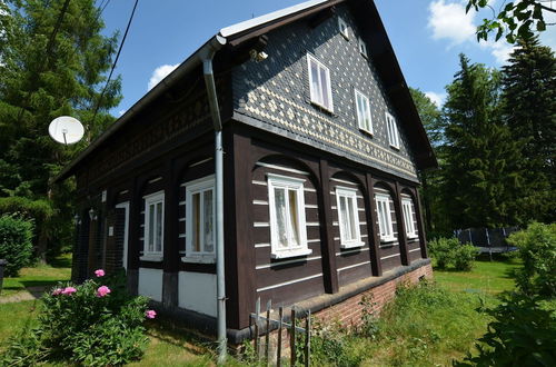 Foto 25 - Holiday Home in Stare Krecany With Fenced Garden