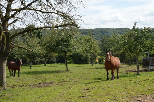 Photo 29 - Spacious House in a Farm, Located in the Bucolic