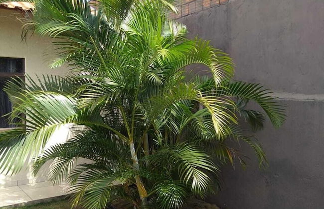 Casa Branca - Foto 1