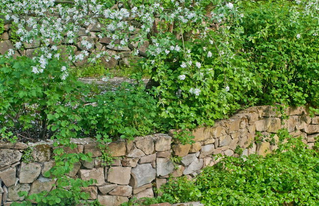Villa Marie- Self-Catering - Photo 40