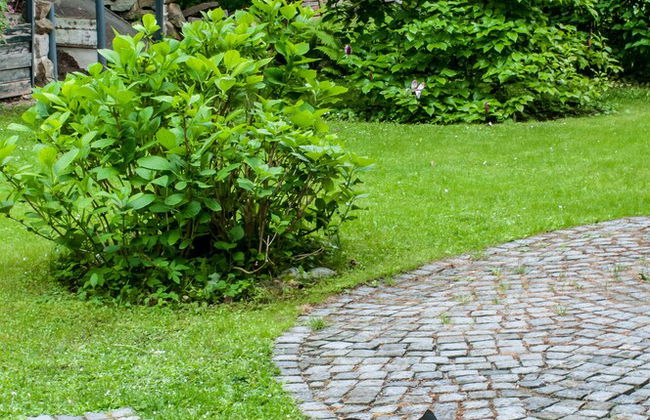 Villa Marie- Self-Catering - Photo 39