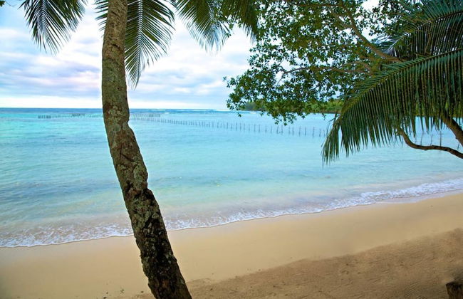 Vale Vale Beachfront Villas - Photo 16