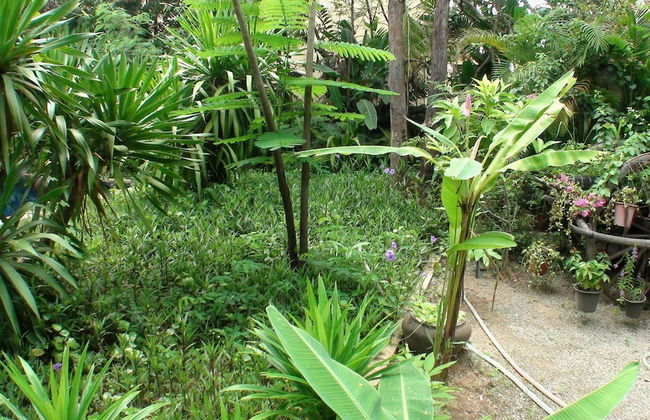 Enkosa Modern Villa - Foto 22
