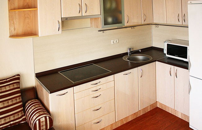 Apartments Alliance on Gazetny - Foto 19