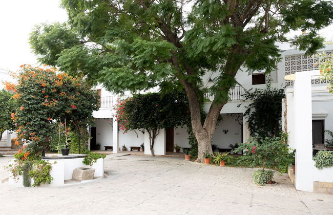 Cortijo de Guerra - Foto 17