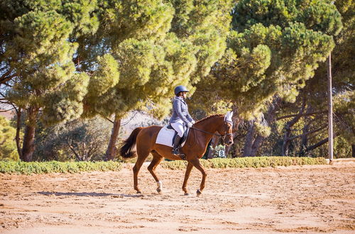 Photo 19 - Cortijo de Guerra