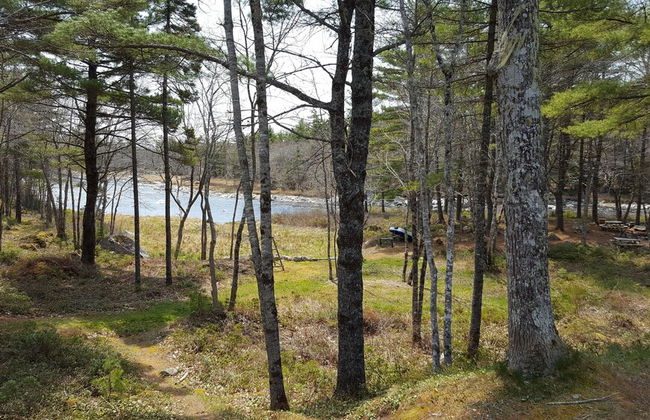 Roseway River Cottages - Foto 19