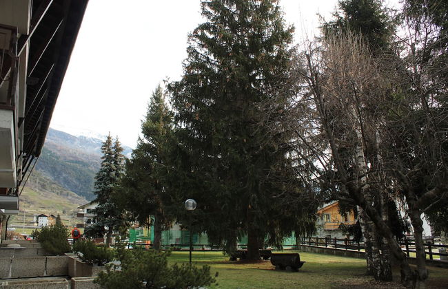 Petit Etoile - Photo 26