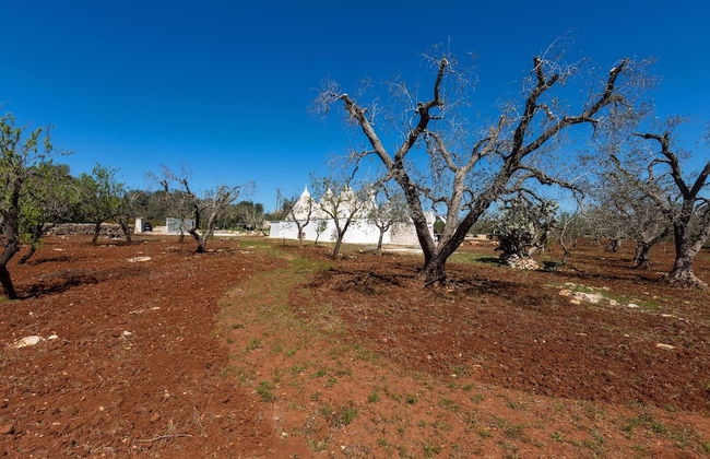 2822 Marì Trullo by Perle di Puglia - Foto 33