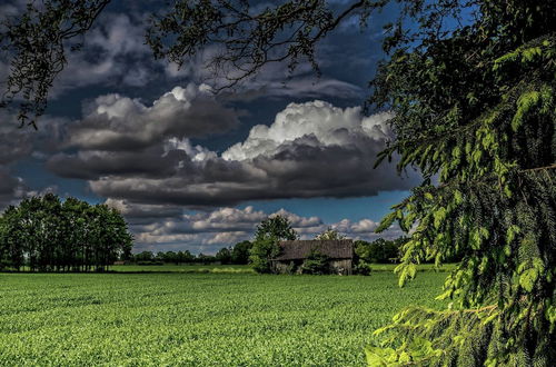 Photo 15 - Staying in a Thatched Barn With Bedroom and box Bed, Beautiful View, Achterhoek