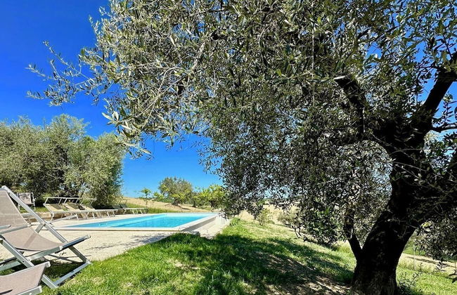 Ancient Country House With Swimming Pool - Photo 26
