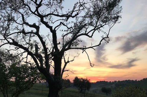 Photo 42 - Historic Farmhouse on the Senigallia Hills