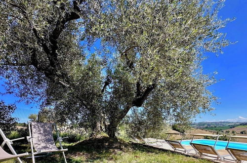 Photo 22 - the Mulberry on the Hills of Senigallia a Stone's Throw From the sea