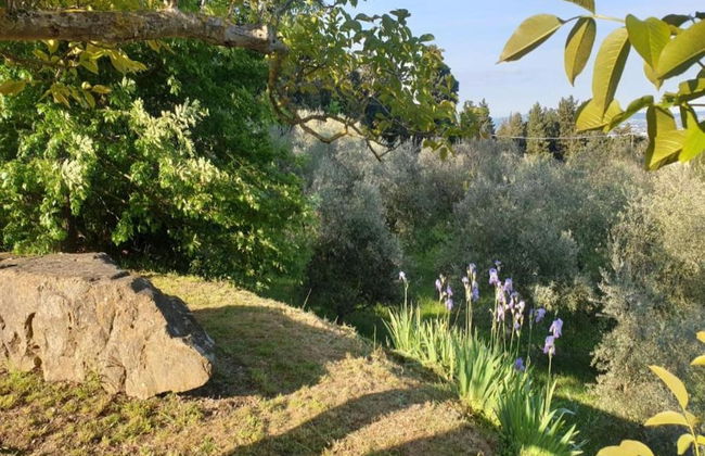 Charming Retreat in Montorsoli - Foto 28
