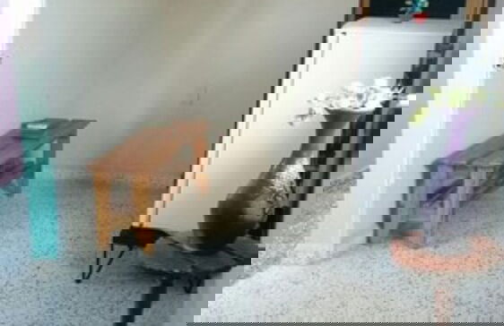 Holiday rental in Camaguey with terrace - Foto 7