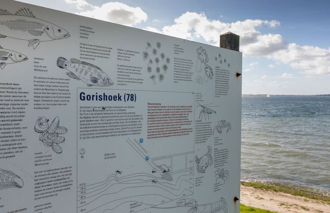 Apartment on Tholen by Oosterschelde Estuary - Photo 36