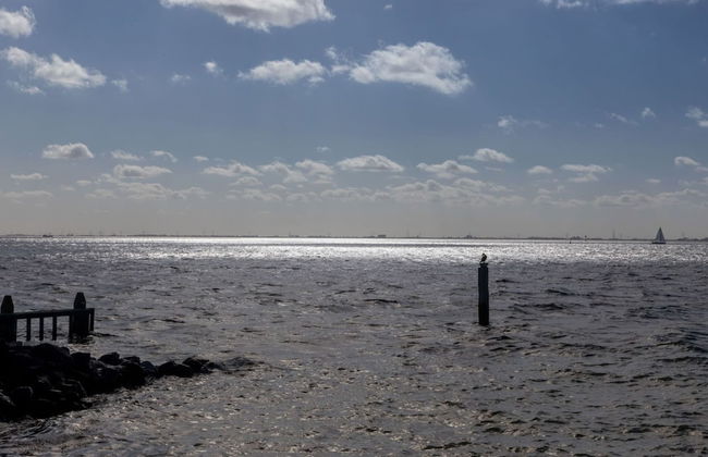 Apartment on Tholen by Oosterschelde Estuary - Photo 26