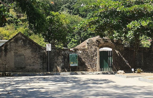 Andorinhas - Foto 47