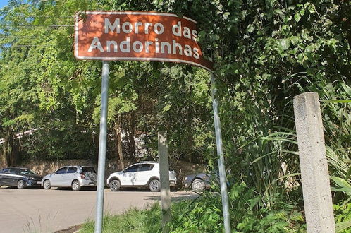 Photo 39 - Andorinhas