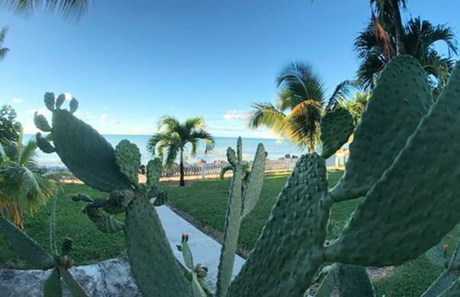 Dickenson Bay Oasis Antigua Village - Foto 47