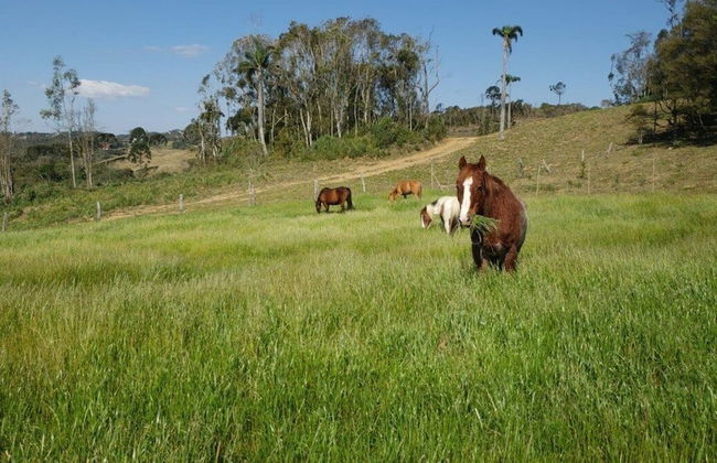 Rancho Sol Poente - Rancho Queimado - Foto 15