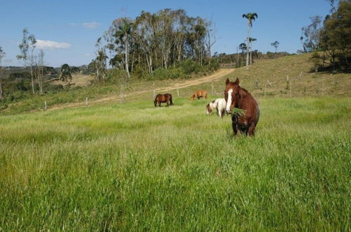 Photo 15 - Rancho Sol Poente - Rancho Queimado