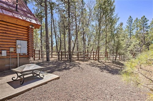 Photo 23 - Log Cabin on 2 Acres: Fenced Yard by Forest