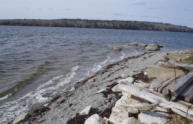 Contention Cove - Foto 14