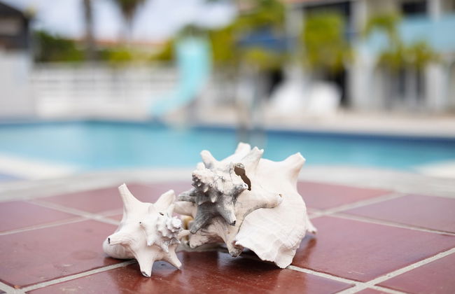 Light House Beach house with Ocean View - Photo 42