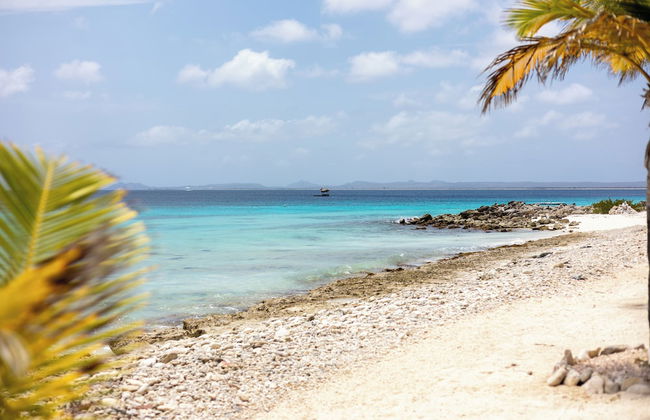 Light House Beach house with Ocean View - Photo 41