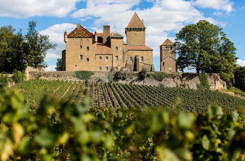 Photo 19 - Château de Pierreclos