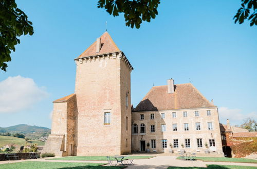 Photo 20 - Château de Pierreclos