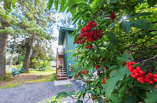 Photo 18 - Seward Studio w/ Deck, Outdoor Dining & Mtn Views