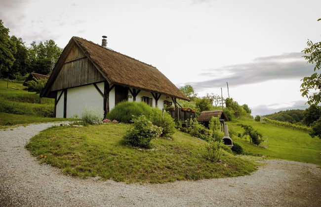 Vineyard Cottage Pavlin 2 - Foto 20