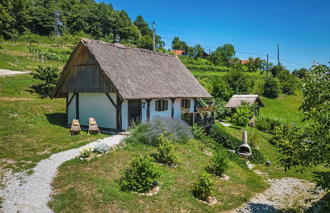 Vineyard Cottage Pavlin 2 - Foto 21