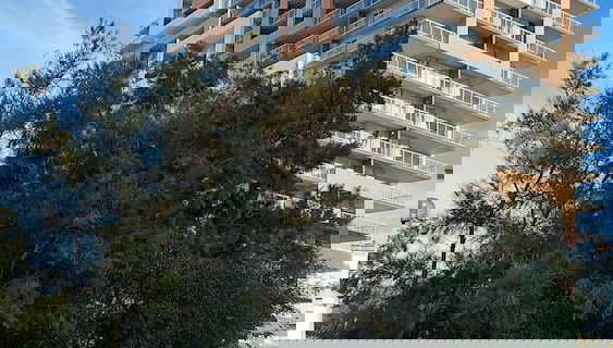 Imagem principal