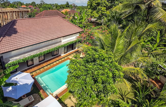Hutan Villa by EVDEkimi - 2BR Nature lovers stay with Outdoor bath and Pool - Photo 1