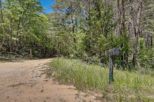 Photo 6 - Pet-friendly Haleyville Cabin Rental w/ Kayaks