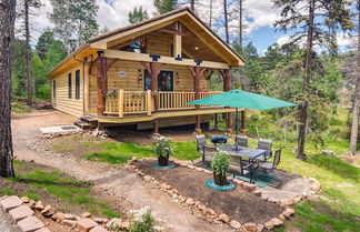 Photo 1 - Conifer Log Cabin Rental w/ Private Hot Tub & Pond