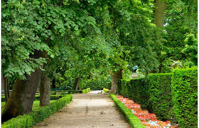 Appart Hôtel Albi - Foto 39