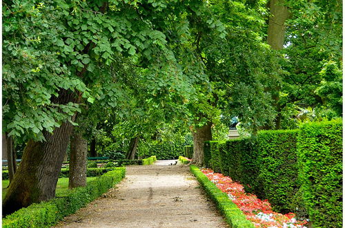 Photo 39 - Appart Hôtel Albi