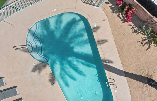 Viridian Biltmore Villa with Pool - Foto 13