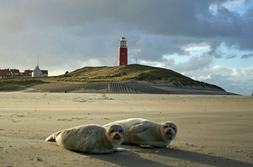 Photo 26 - Luxury Thatched Wellness Villa near Sea on Texel