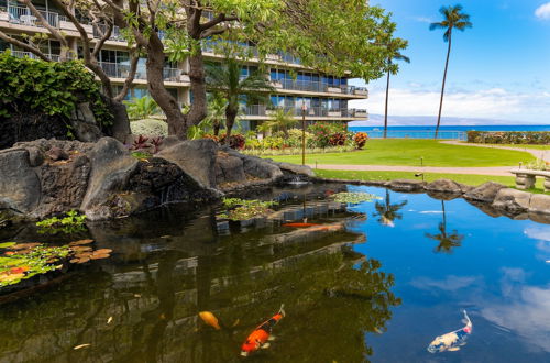 Photo 32 - The Whaler Resort Kaanapali Beach