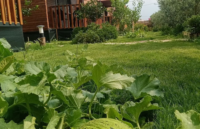 Riviera Bungalow Evleri Demre - Foto 68