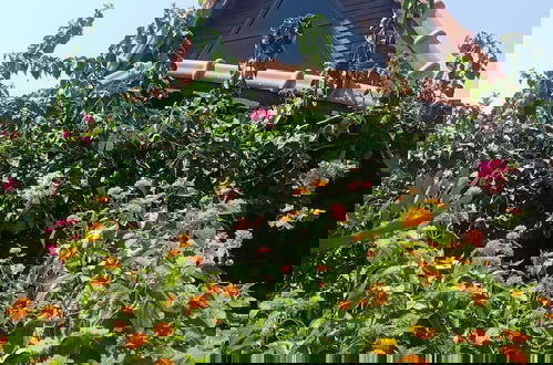Photo 49 - Riviera Bungalow Evleri Demre