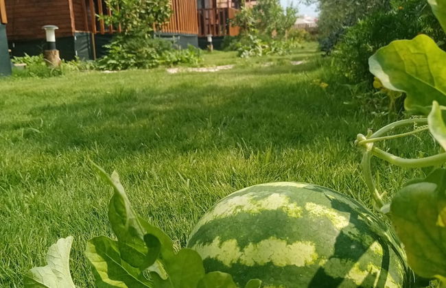 Riviera Bungalow Evleri Demre - Foto 69