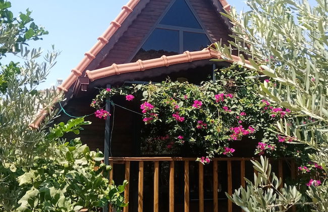 Riviera Bungalow Evleri Demre - Foto 47