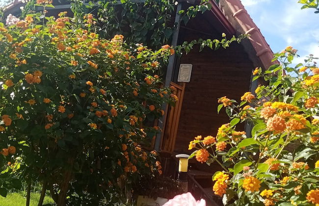 Riviera Bungalow Evleri Demre - Foto 61